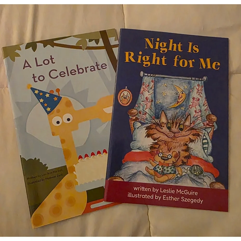 Hooked on Phonics Learn to Read Book Lot 22 Readers Early Learning Kindergarten